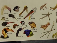-浙江自然博物院(杭州馆)
