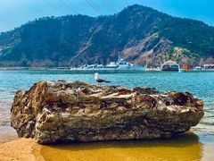 -大连老虎滩海洋公园