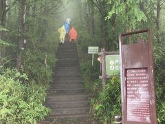 -东白山