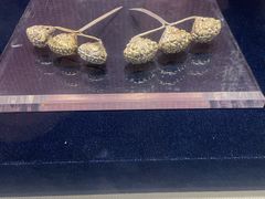 -鄂尔多斯青铜器博物馆