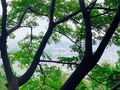 -雨花胜境
