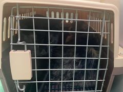 -东方动物医院·宠保定点·骨科·转诊中心(春城路·昆明站分院)