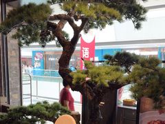 -绿茶餐厅(松江万达店)