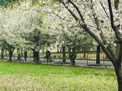 -同济大学(嘉定校区)