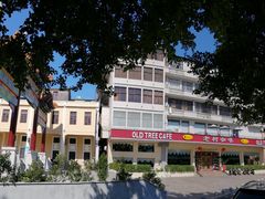 -OLD TREE老树咖啡·西餐厅(台山人工湖店)