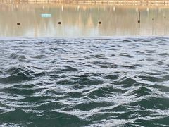 -春晖园度假酒店温泉