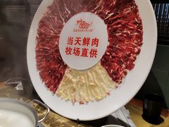 -手选潮汕鲜活牛肉火锅(二七广场店)