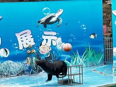 -杭州动物园