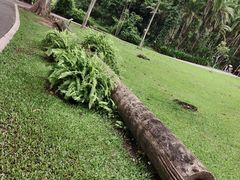 -中国科学院西双版纳热带植物园