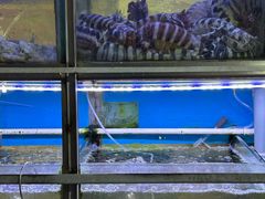 -富来美食(成发大厦店)