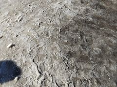 -蓟县盘山滑雪场