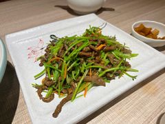 -石头咕(葵蓬店)