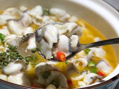 -青花椒花椒鱼(合生汇店)