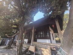 -香雪海
