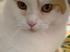 -平行世界·猫咖(首经贸店)