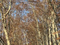 -T80科技文化国际社区-停车场