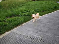-风云岭森林公园