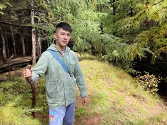-苏木山森林公园
