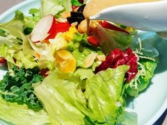 健康蔬菜沙拉-通海俄式烧烤·俄罗斯大串(嵩山路店)