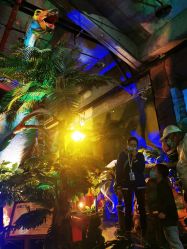 -恐龙探索乐园(磁器口店)