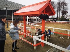 -太阳岛度假酒店