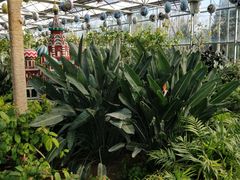 -南宫五洲植物乐园