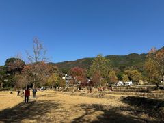-塔川景区
