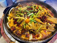 老板恋上鱼-老板恋上鱼(恒隆广场店)