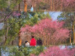 -岳麓山风景名胜区