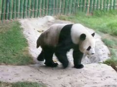 -横道河子东北虎林园