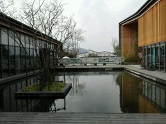 -田园东方蜜桃村的田野营地