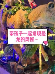-恐龙探索乐园(磁器口店)