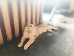 -王红军龙虾(新民路店)