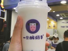 -一只酸奶牛(八一路店)