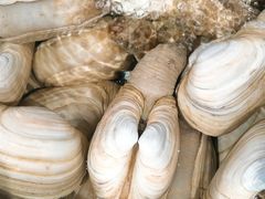 -盒马鲜生(曜一城店)