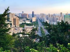 -板樟山森林公园