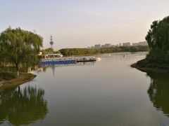 -大兴滨河森林公园