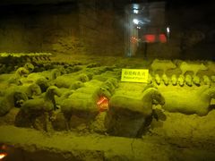 -汉景帝阳陵博物院