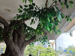 -今一靓汤.顺德菜东莞三十年老字号(厚街店)