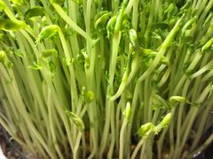 -好彩猪肚鸡(正弘城店)