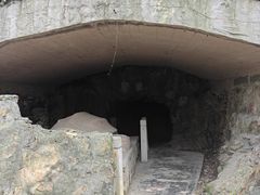 -上海佘山国家森林公园天马山园