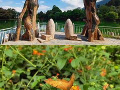 -蝴蝶泉公园