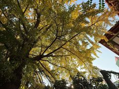 -大泽山风景名胜区