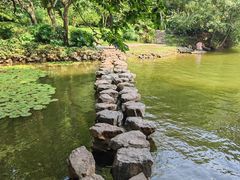 -紫霞湖公园