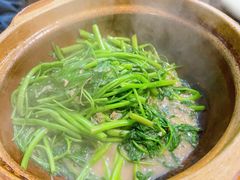 -熠盛粤味·顺德桑拿鸡(永康路店)