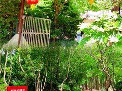-上海滨江森林公园