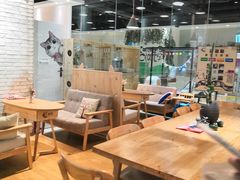 大堂-藏猫猫咖啡主题馆(中央大道店)