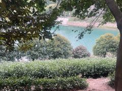 -九龙潭景区