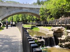 -白水寺森林公园