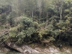-黄山翡翠谷景区
